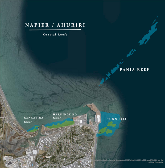 Napier-MCHP-map